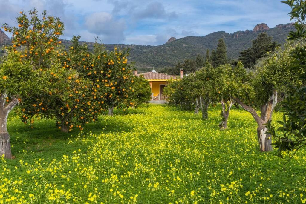 Vakantiehuis A Charming Country + Bikes And Kayaks Bosa
