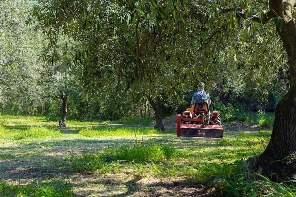 A Charming Country + Bikes And Kayaks * Bosa