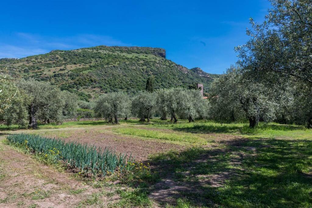 A Charming Country + Bikes And Kayaks Bosa