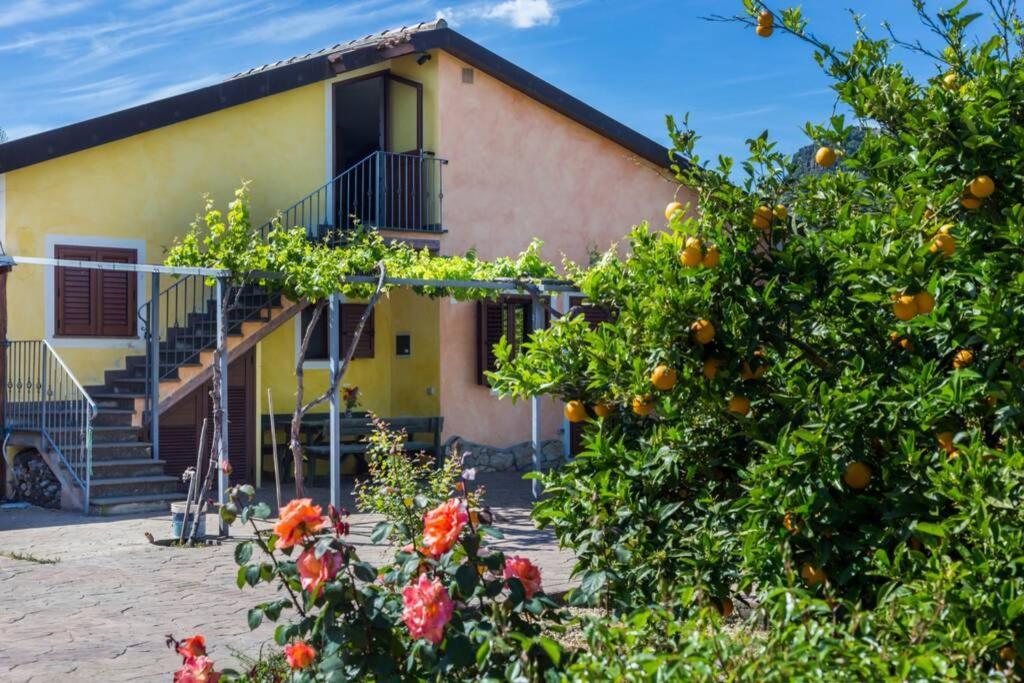 A Charming Country + Bikes And Kayaks * Bosa