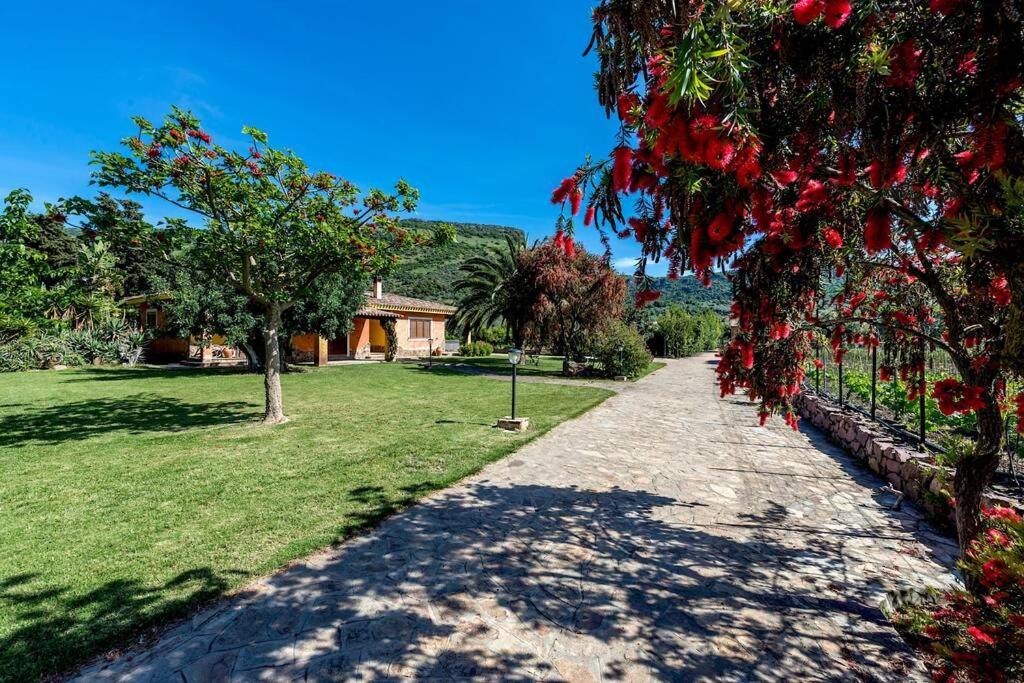 A Charming Country + Bikes And Kayaks Bosa