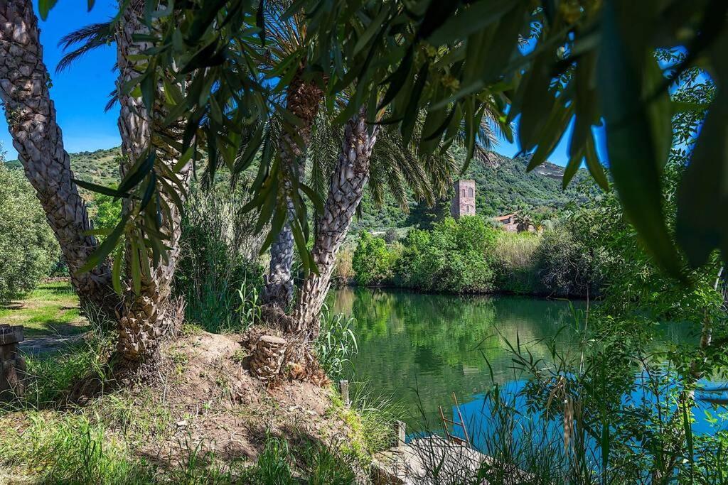 A Charming Country + Bikes And Kayaks Bosa